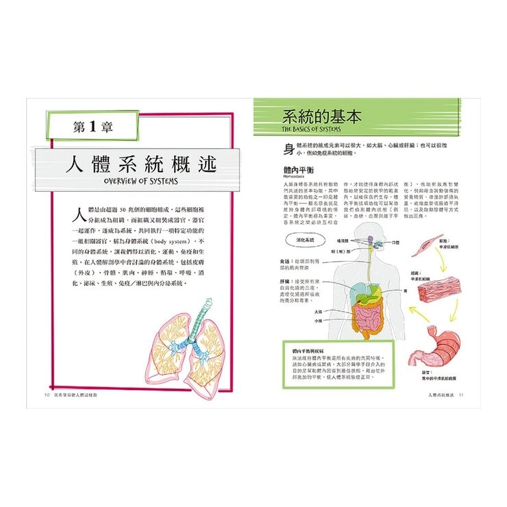 真希望基礎生物這樣教 + 真希望基礎人體這樣教 暢銷修訂版 (共二冊)
