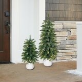 LED 聖誕樹盆栽擺飾 2入組