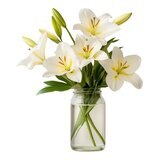 百合花束