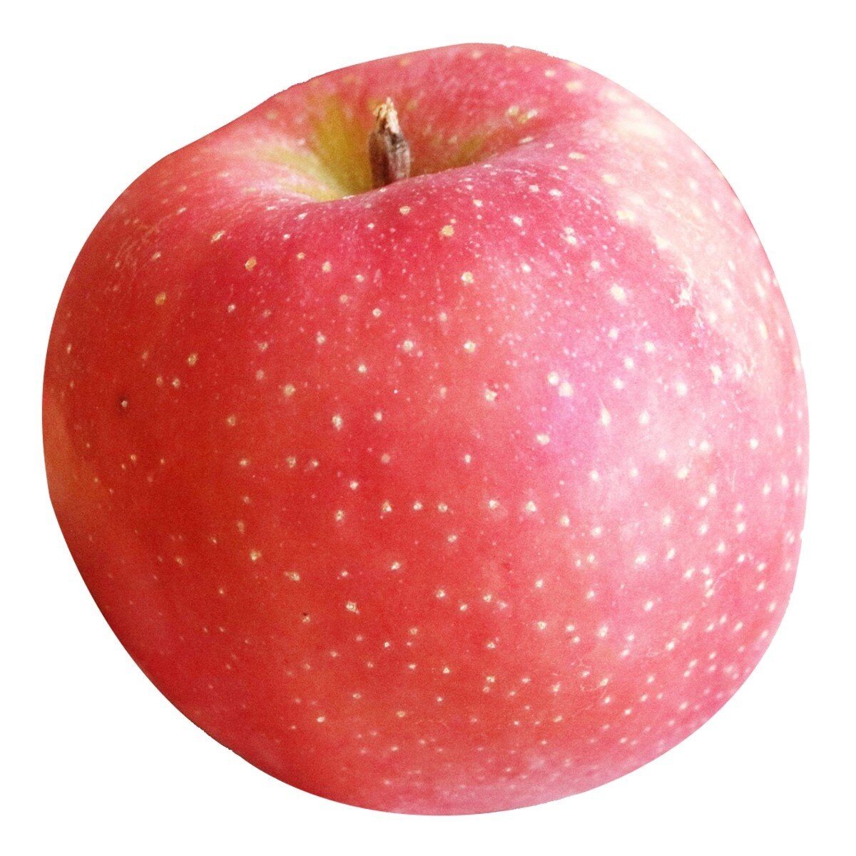 日本青森千雪蘋果 5公斤 (20-23入) 日本青森千雪蘋果 5公斤 (20-23入)