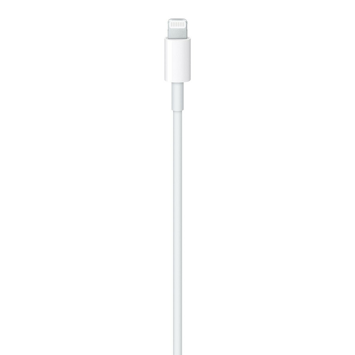 Apple USB-C 對 Lightning 連接線 1公尺 Apple USB-C 對 Lightning 連接線 1公尺
