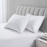 Downlite 科技彈性纖維舒適枕 2入 50公分 X 71公分