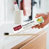 紅印 護齦蜂膠薄荷牙膏 100公克 X 6入