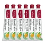 紅印 護齦蜂膠薄荷牙膏 100公克 X 6入