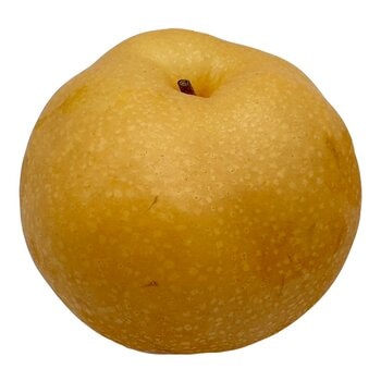 梨山甘露梨 3公斤 梨山甘露梨 3公斤