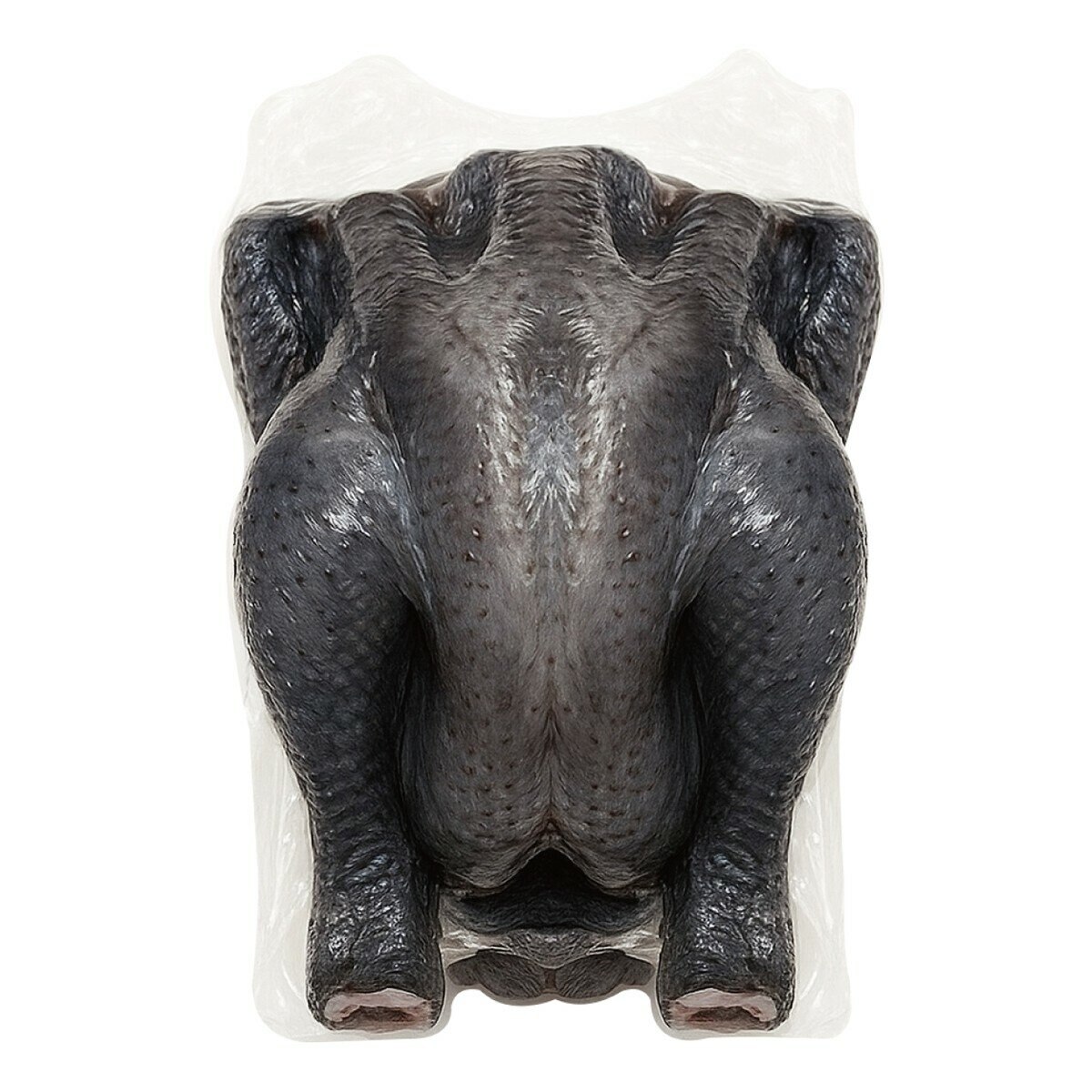 大成 冷凍烏骨春雞 6入