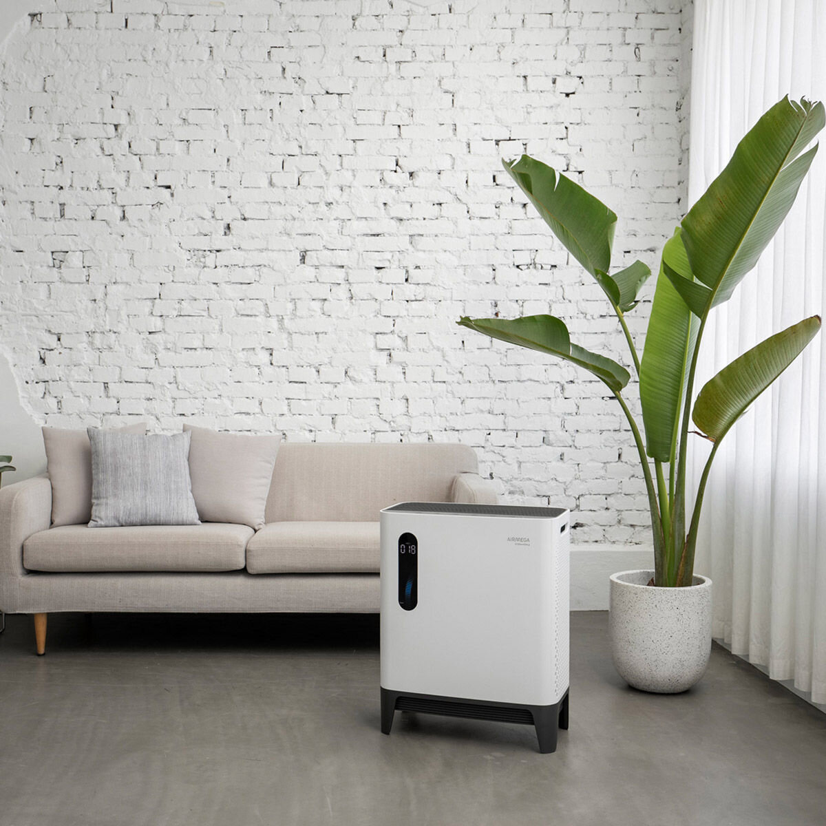 Coway AP 2318P Costco