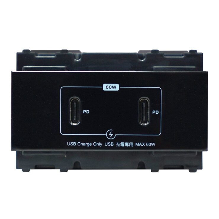 台達電子 PD款 60W 充電插座 (TypeC + TypeC) 雙孔 2入