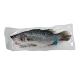 ASC 金目鱸魚
