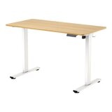 Flexispot 電動升降桌