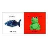 Dorling Kindersley 寶寶觸覺認知書套組（共７冊）