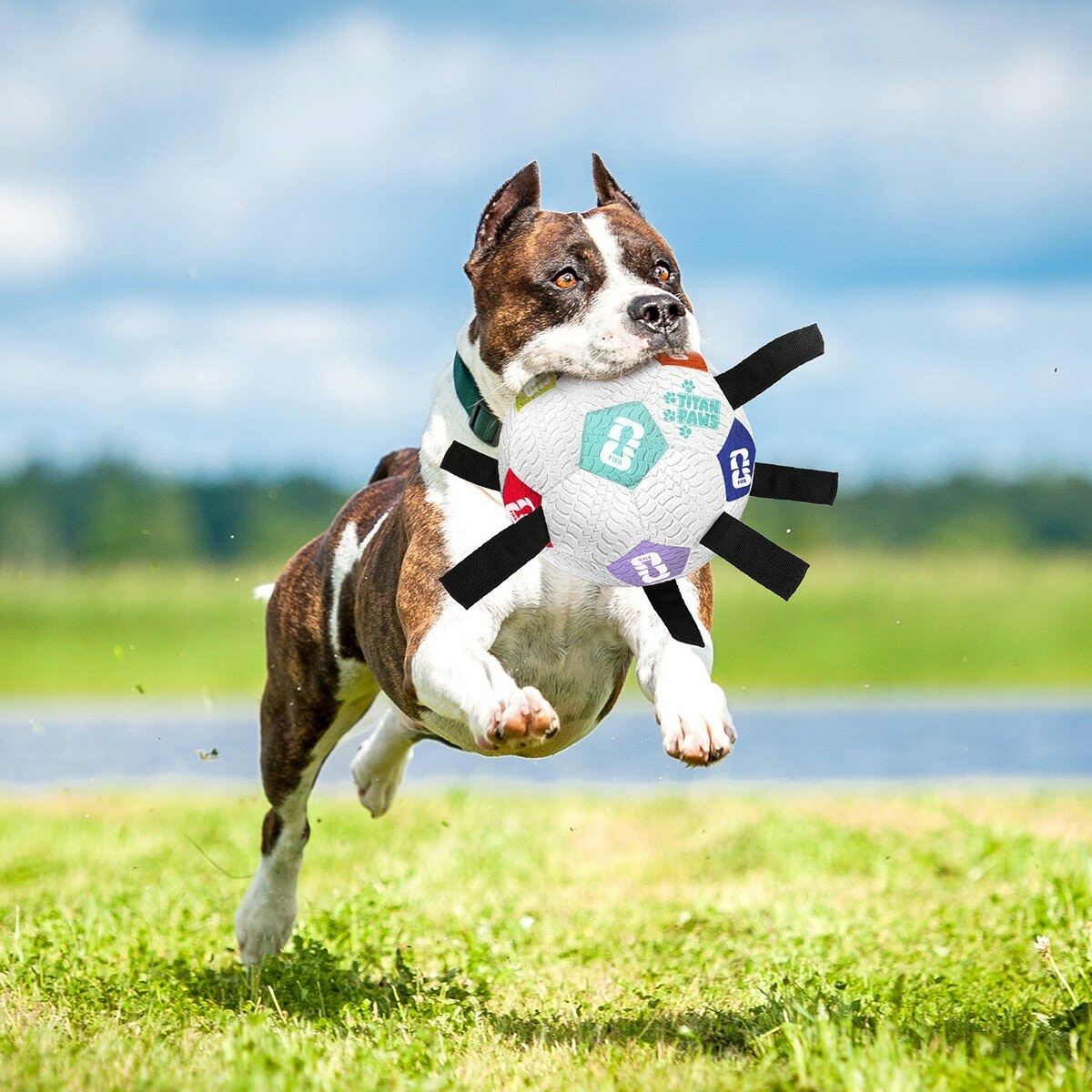 FIFA World Cup Soccer Ball Pet Toy 2-Count FIFA World Cup Soccer Ball Pet Toy 2-Count