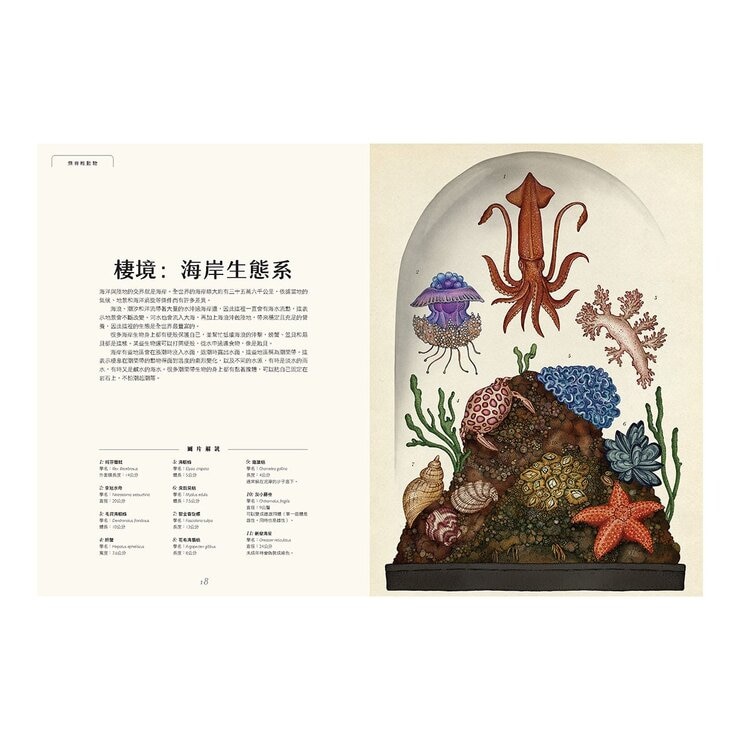 動物博物館 動物博物館