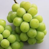 韓國麝香葡萄 2公斤