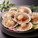 冷凍半殼扇貝 550公克