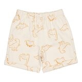 Pekkle 幼童服飾四件套組 恐龍 5T