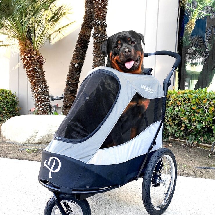 Petique Trailblazer Pet Jogger Space Gray