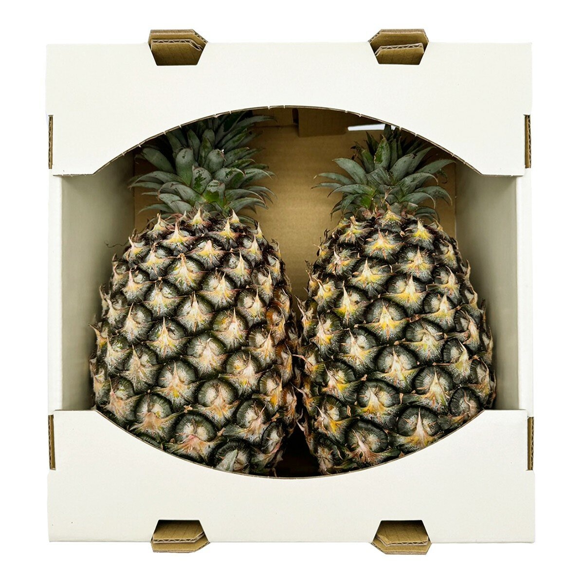 產履金鑽鳳梨 3.6公斤 / 2入