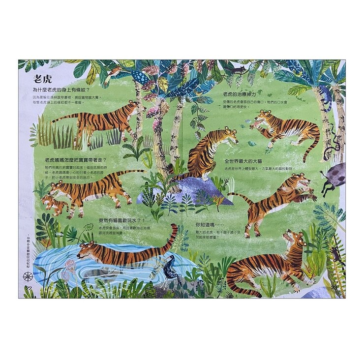 經典科普自然大書:蟲蟲大書+野獸大書+海洋大書