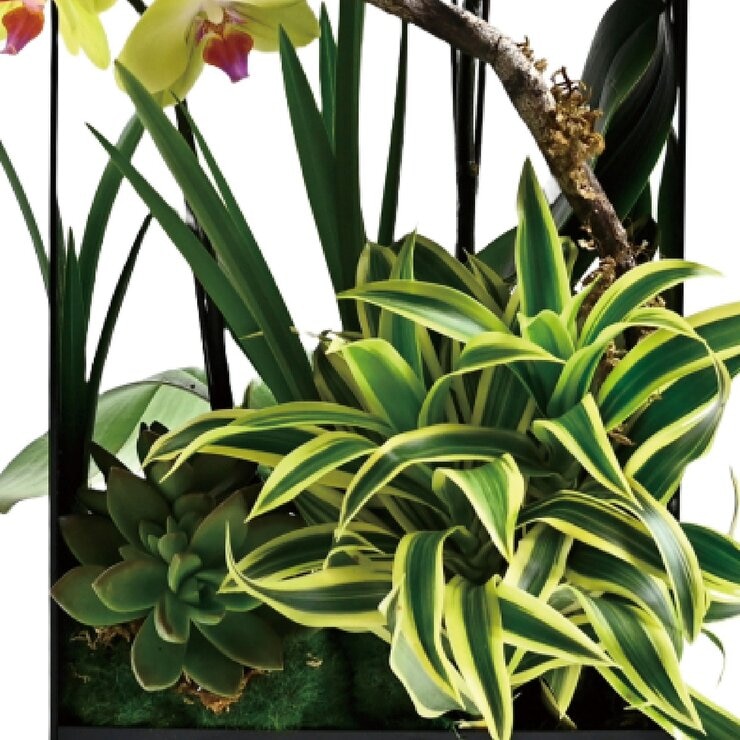 台北花苑 雅逸蘭境 現代極簡花禮