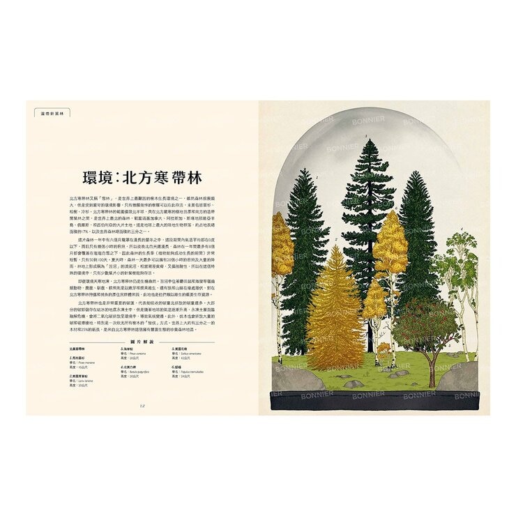 樹木博物館【台灣獨家封面版】