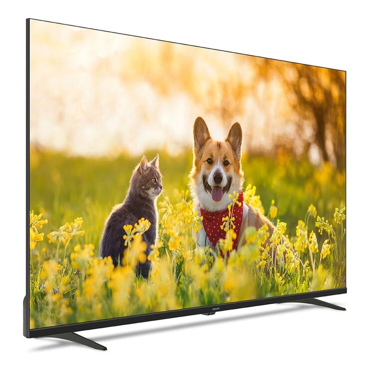 飛利浦 55吋 4K Google TV 顯示器 55PUH7630/96