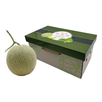 韓國哈密瓜禮盒 3.8公斤 (2入)