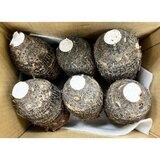 產銷履歷芋頭 5公斤 產銷履歷芋頭 5公斤