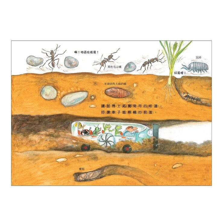 松岡達英雨蛙生態旅行團（共３冊）：池塘＋空中＋地下