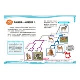兒童伽利略1-8冊(全套8冊) 動物學校＋恐龍學校＋太陽系學校＋人體學校＋飛機學校＋地球學校＋海洋學校＋天氣學校