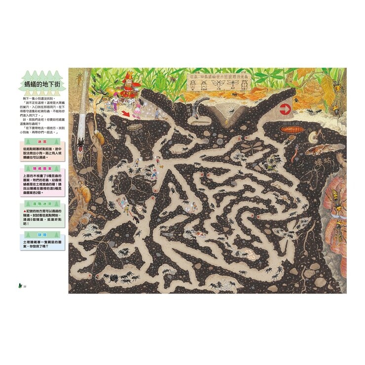 知識大迷宮：自然界大探索套書（共３冊）：昆蟲迷宮＋動物迷宮＋水世界迷宮