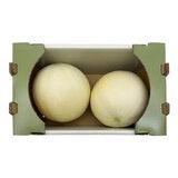 美國光面哈密瓜禮盒 5公斤 / 2入