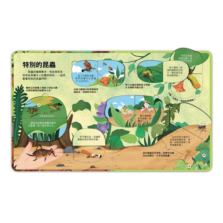 百問百答圖解翻翻書(全套10冊)+多重點讀筆