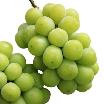 祕魯麝香葡萄 800公克