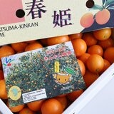 日本鹿兒島金柑禮盒 2公斤