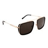 AZZARO 偏光太陽眼鏡 AZ 33075 C02 金