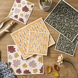Recyco 木漿棉多用布12入組 秋季