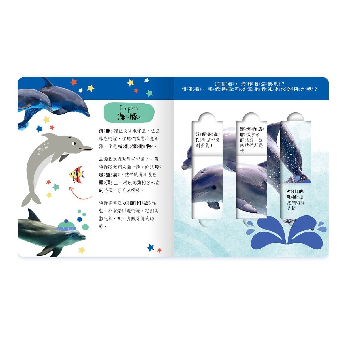 Lovely Puzzle 拼圖操作書組合：沙漠動物園 + 海洋動物園 (2書合售)