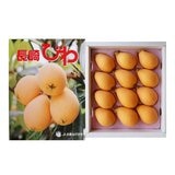 空運日本枇杷禮盒 400公克
