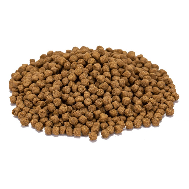 科克蘭 雞肉&米&蔬菜配方 小型犬乾狗糧 9.07公斤