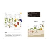 蔬食料理聖經(共二冊):葉菜、花菜、蔥蒜、嫩莖、玉米與番薯篇+瓜類、豆類、果實、馬鈴薯與根莖篇 蔬食料理聖經(共二冊):葉菜、花菜、蔥蒜、嫩莖、玉米與番薯篇+瓜類、豆類、果實、馬鈴薯與根莖篇