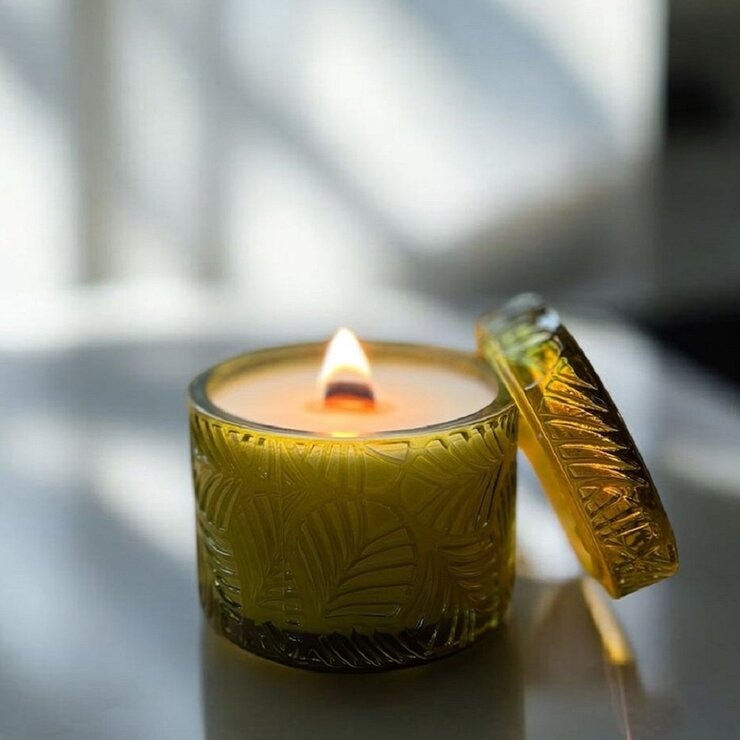 Olive Oil 香氛蠟燭禮盒 210公克 X 3件組