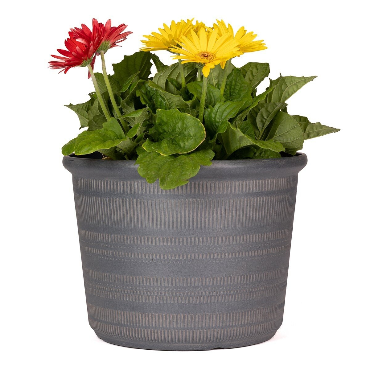 塑膠花盆 3件組 灰色