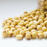 玉美 生鮮蓮子 1.2公斤 玉美 生鮮蓮子 1.2公斤