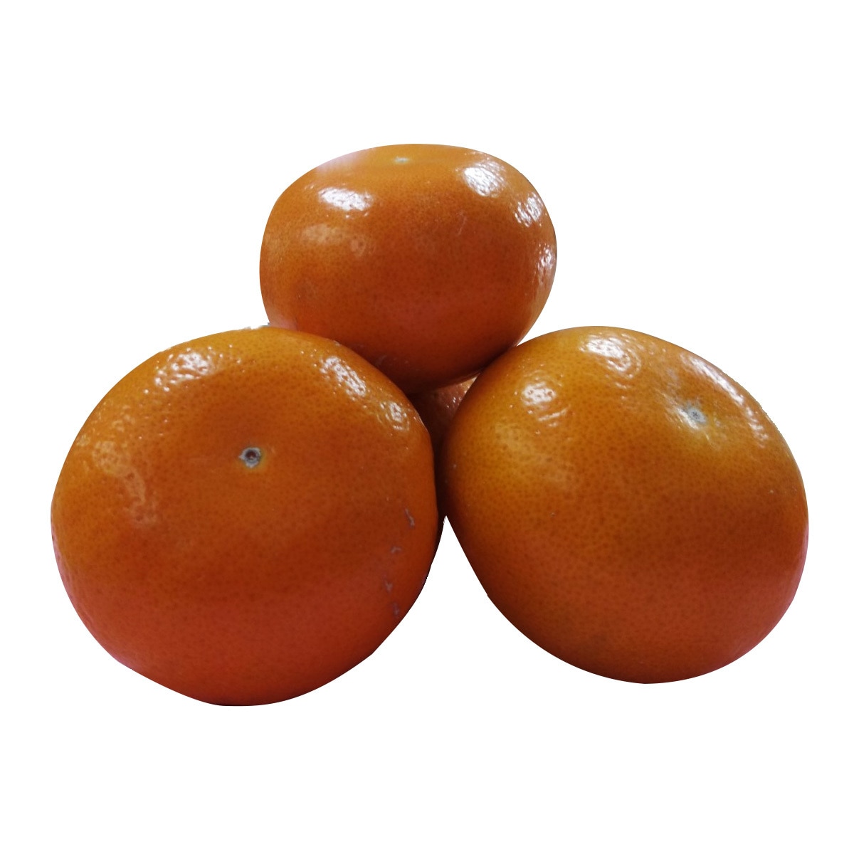 產銷履歷茂谷柑 3公斤