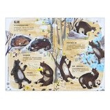 經典科普自然大書:蟲蟲大書+野獸大書+海洋大書