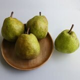 日本山形西洋梨 1.4公斤