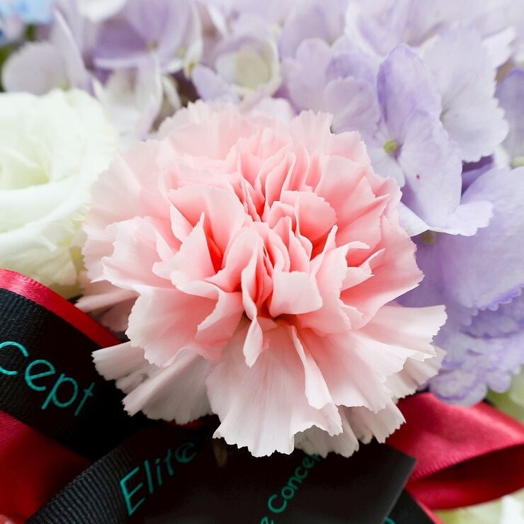 一禮莊園 花漾甜馨鮮花盆花禮