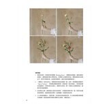 KEIRA FLEUR Flower Course 花藝之書【暢銷珍藏版】：宛如庭園般自然，風格與美學的實踐