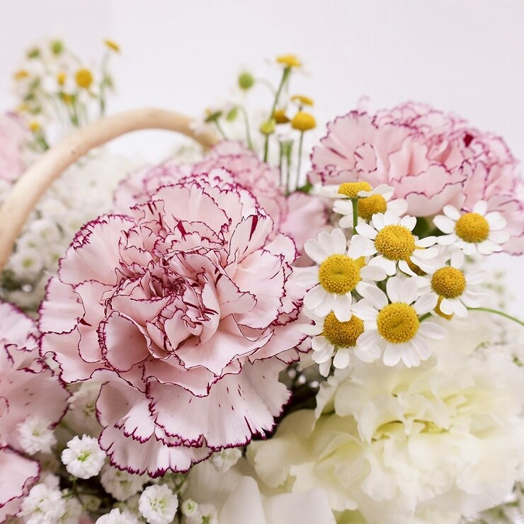 一禮莊園 柔美馨辰雙色花禮